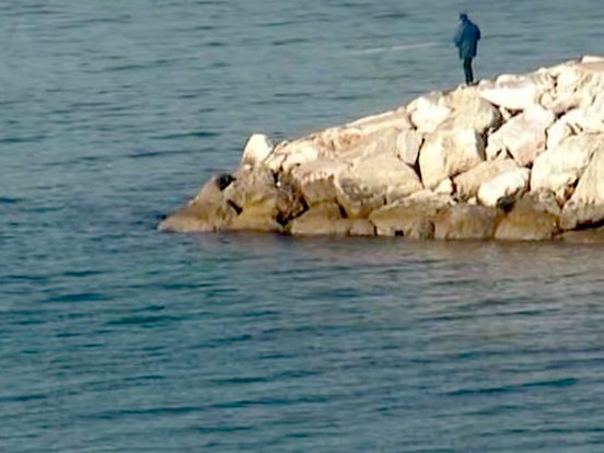 Image d'illustration