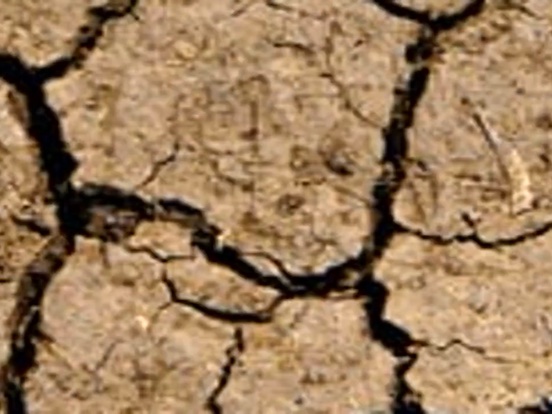 Image d'illustration