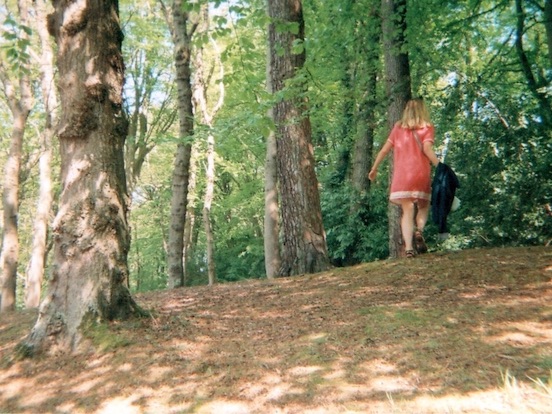 Image d'illustration