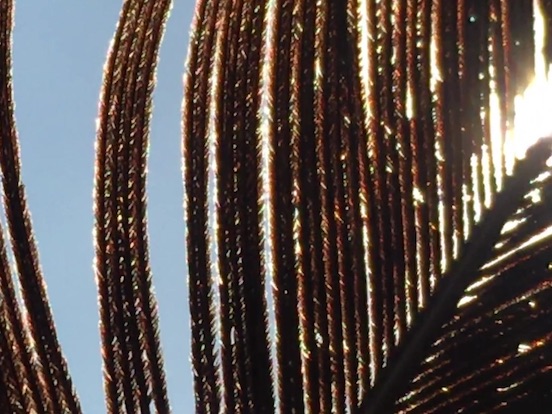 Image d'illustration